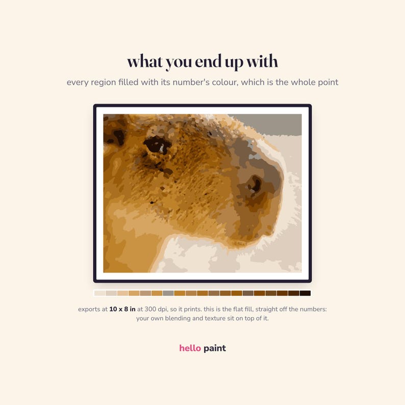 Pode incluir: Um retrato de capivara para pintar por n&uacute;meros com uma barra de paleta de cores abaixo. O texto diz: what you end up with, every region filled with its number's colour, which is the whole point, exports at 10 x 8 in at 300 dpi, hello paint.