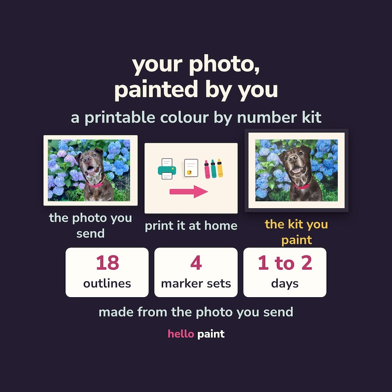 Custom Color By Number Kit • Pet Portrait, Photo to Paint (Printable PDF) image 1