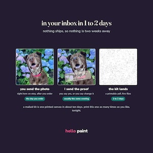 May include: A digital graphic explaining a custom paint-by-number process. It features three panels: a photo of a brown dog, the same dog with a proof overlay, and a numbered line art template. Text includes 'in your inbox in 1 to 2 days' and 'hello paint'.