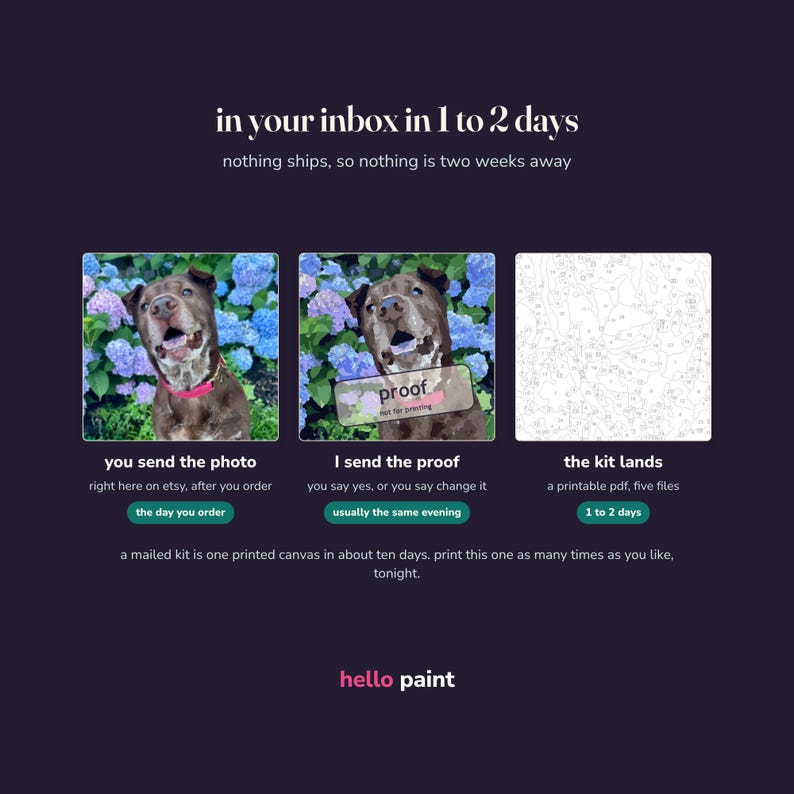 May include: A digital graphic explaining a custom paint-by-number process. It features three panels: a photo of a brown dog, the same dog with a proof overlay, and a numbered line art template. Text includes 'in your inbox in 1 to 2 days' and 'hello paint'.