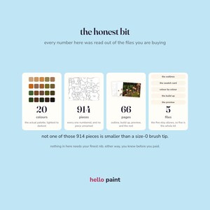 the honest details in writing before you buy: 20 colours, 914 pieces, 66 pages, and the smallest piece size of the mushroom kit