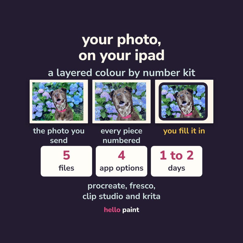 Custom Photo Color by Number Kit for iPad • Procreate Pet Portrait (Digital Painting) image 1