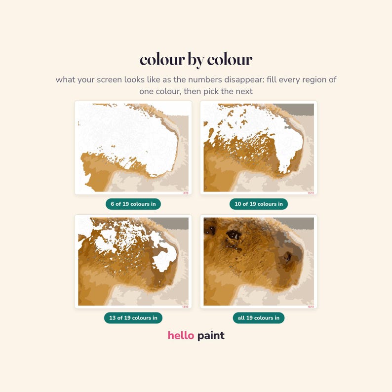 Pode incluir: Um gr&aacute;fico instrutivo de quatro partes intitulado colour by colour, mostrando o progresso de um retrato de capivara para pintar por n&uacute;meros. Cada painel exibe um est&aacute;gio diferente, rotulado 6, 10, 13 e all 19 colours in, com a marca hello paint na base.