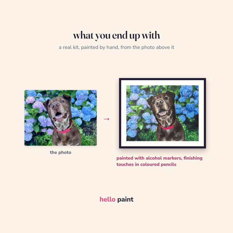 May include: A comparison graphic showing a photograph of a brown dog in front of blue hydrangeas next to a framed hand-drawn illustration of the same dog. Text reads: what you end up with, a real kit, painted by hand, from the photo above it, the photo, painted with alcohol markers, finishing touches in coloured pencils, hello paint.