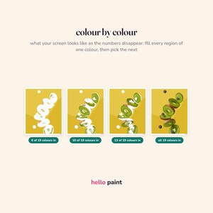 May include: A digital graphic titled colour by colour showing a progression of a paint-by-numbers kiwi illustration. Four panels display the image at 6, 10, 13, and 19 colours filled. The text reads: colour by colour, what your screen looks like as the numbers disappear: fill every region of one colour, then pick the next, and hello paint.