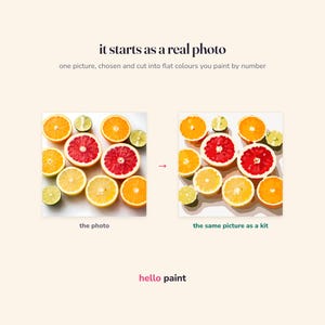 the real photograph behind the citrus halves kit beside the finished flat colour version, showing how one photo becomes a printable paint by number