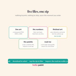 Pu&ograve; includere: Un grafico informativo su un prodotto digitale intitolato five files, one zip. Elenca cinque componenti: line art, the numbers, finished art, the palette e read me. Una barra verde acqua in basso fornisce istruzioni: download in safari, tap the zip in files, import, the read me walks you, e il testo hello paint.