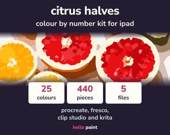 Citrus Halves Procreate Color by Number Kit (Digital Download)
