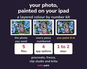 Kit personalizzato per dipingere con i numeri su iPad • Da foto a opera d'arte digitale (download digitale)