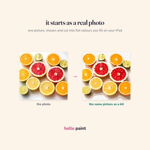 May include: A digital painting kit demonstration featuring the text 'it starts as a real photo', 'one picture, chosen and cut into flat colours you fill on your iPad', 'the photo', 'the same picture as a kit', and 'hello paint' with citrus fruit imagery.