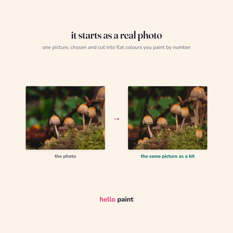 the real photograph this woodland mushroom kit is cut from, next to the finished flat fill: the same picture before and after it became a kit
