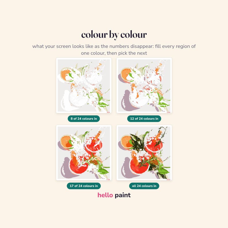 May include: A paint-by-number instructional graphic titled colour by colour, showing four stages of a floral artwork. Labels indicate 8, 12, 17, and all 24 colors filled in. The bottom text reads hello paint, demonstrating the progression of the painting.