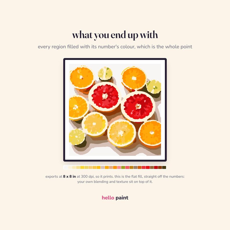May include: A paint-by-numbers digital illustration of sliced citrus fruits including oranges, grapefruits, and lemons. The text reads: what you end up with, every region filled with its number's colour, which is the whole point, exports at 8 x 8 in at 300 dpi, so it prints, this is the flat fill, straight off the numbers: your own blending and texture sit on top of it, hello paint.
