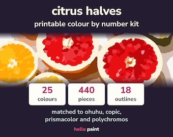 Citrus Halves Color by Number Kit • Alcohol Marker, Colored Pencil PDF
