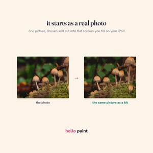K&ouml;nnte beinhalten: Eine digitale Grafik zeigt ein Pilzfoto neben einer farbblockierten Version, die als Set gekennzeichnet ist. Der Text lautet: it starts as a real photo, one picture, chosen and cut into flat colours you fill on your iPad, the photo, the same picture as a kit, hello paint.