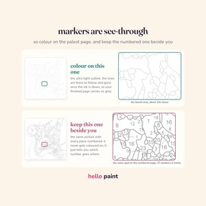 May include: An instructional graphic titled markers are see-through explaining a colouring process. It shows two pages: one with ultra-light outlines for colouring and another with numbered sections for reference, featuring the Hello Paint brand logo at the bottom.