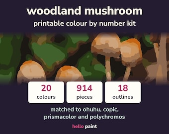 Kit da colorare con i numeri a tema funghi del bosco • Pennarello a base alcolica, matite colorate PDF