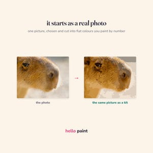 the real photograph this capybara kit is cut from, next to the finished flat fill: the same picture before and after it became a kit