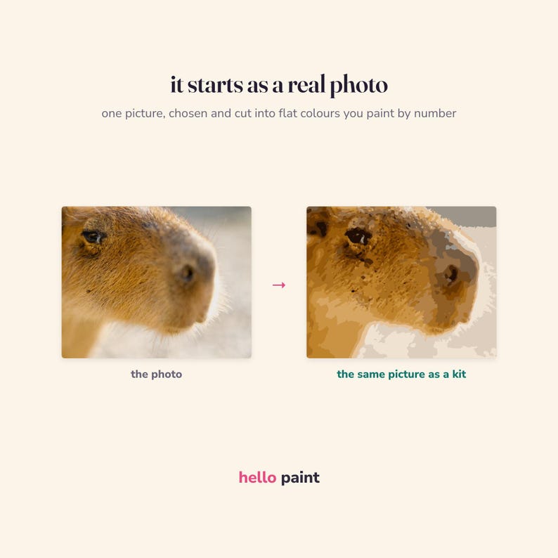the real photograph this capybara kit is cut from, next to the finished flat fill: the same picture before and after it became a kit
