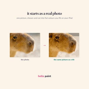 Pode incluir: Um gr&aacute;fico digital mostrando uma foto de uma capivara ao lado de uma vers&atilde;o com cores planas rotulada 'the same picture as a kit'. O texto diz: 'it starts as a real photo', 'one picture, chosen and cut into flat colours you fill on your iPad' e 'hello paint'.