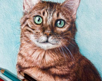 Hand-Drawn Pet Portrait from Photo – Custom Pencil Drawing of Dog, Cat or Any Pet, Realistic Graphite Art, Colored Pencil Art, Unique Gift