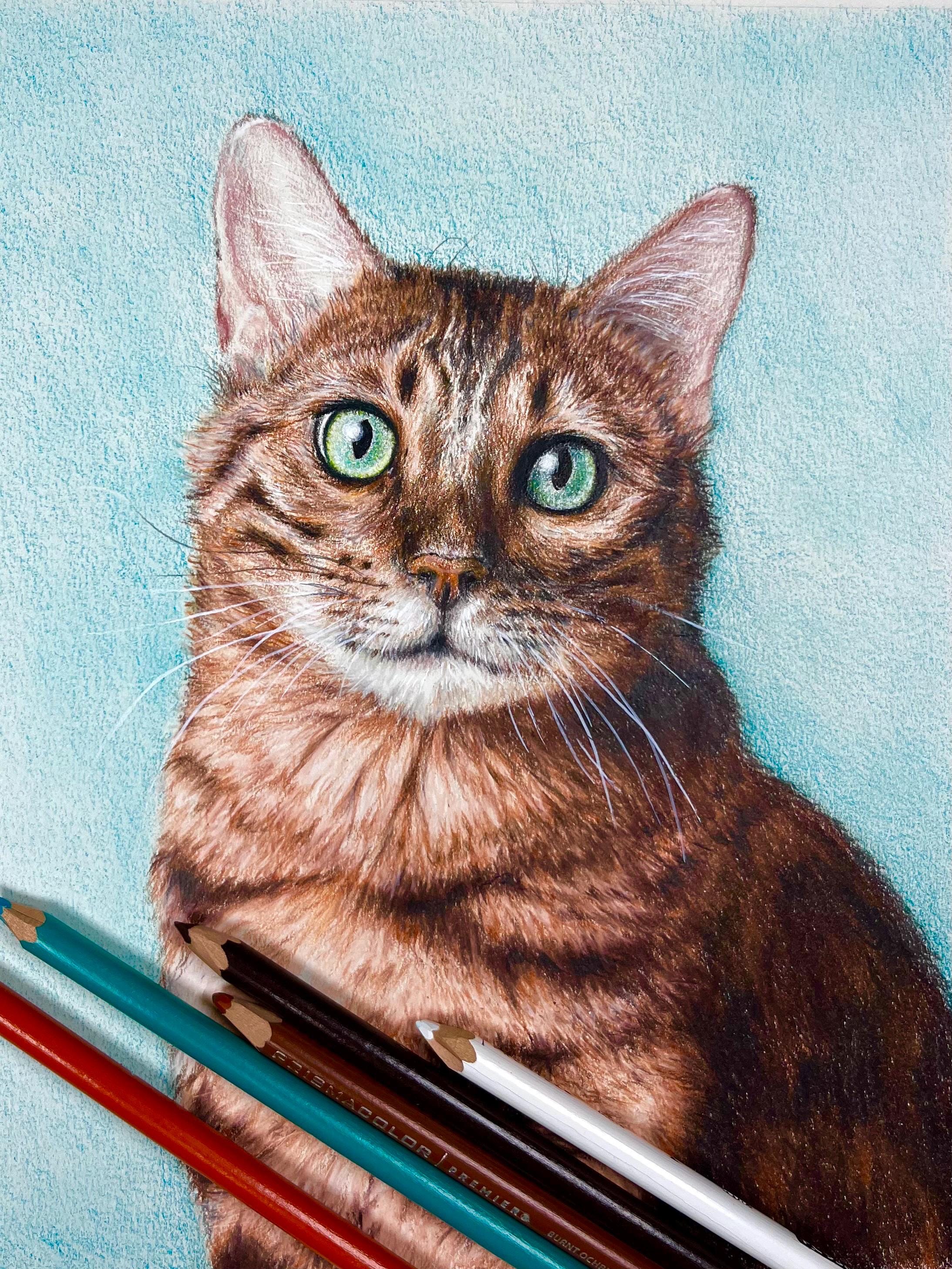 Hand-drawn Pet Portrait From Photo – Custom Pencil Drawing of Dog
