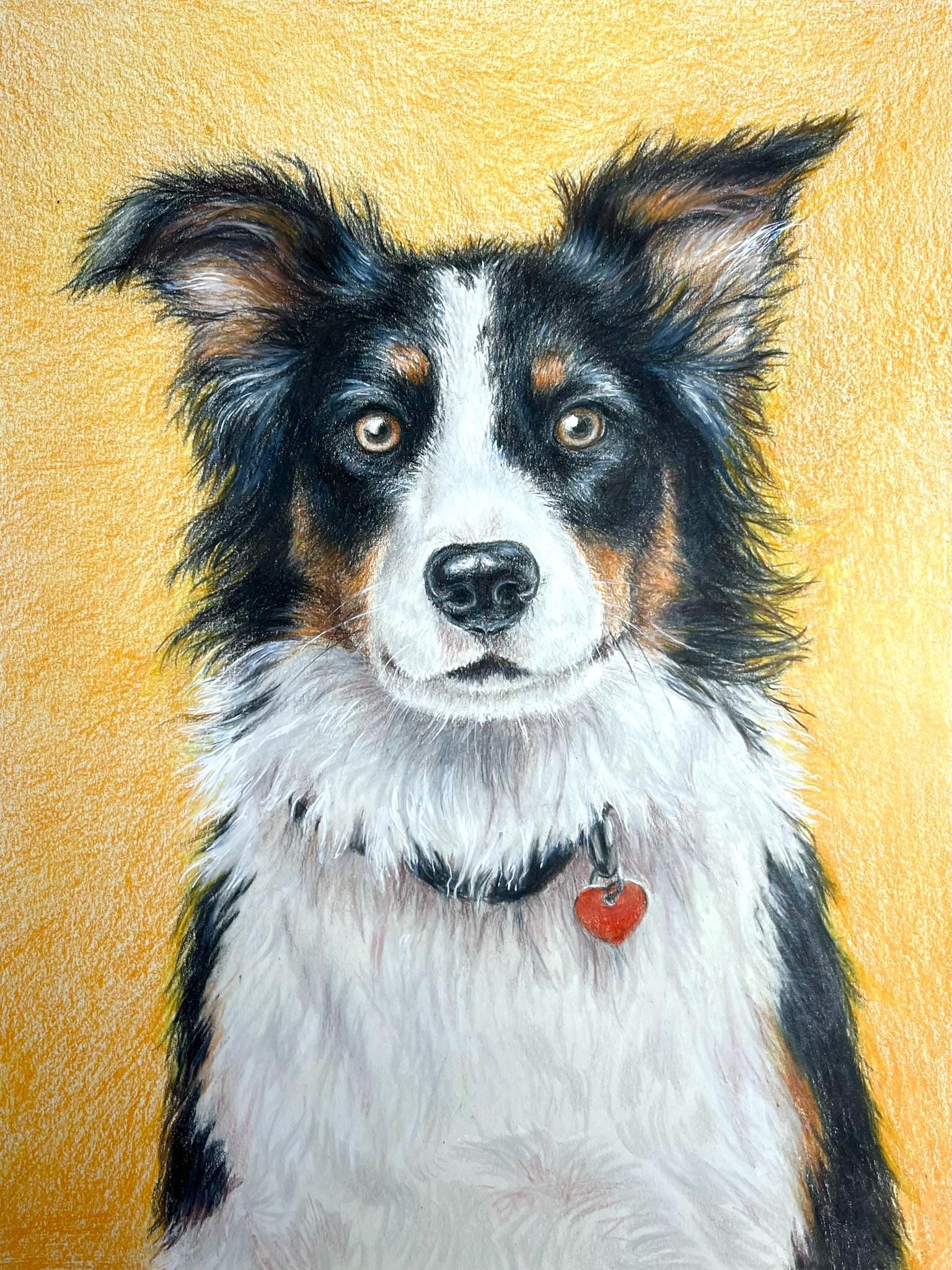 Hand-drawn Pet Portrait From Photo – Custom Pencil Drawing of Dog, Cat ...