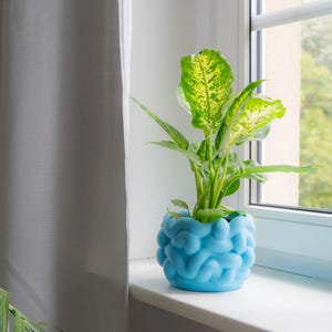 Könnte beinhalten: Eine Dieffenbachia-Pflanze in einem hellblauen, strukturierten Topf. Die Pflanze hat große grüne Blätter mit gelber Panaschierung. Der Topf steht auf einer weißen Fensterbank neben einem Fenster mit Blick auf grüne Bäume und einen weißen Vorhang.