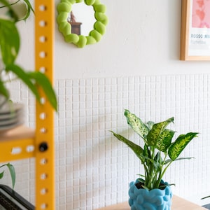 May include: A small, round mirror with a lime green, bubble-like frame is mounted on a white wall. A blue, textured planter holds a green and white plant on a wooden surface. A yellow metal shelf is visible in the background.