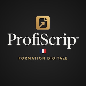 May include: A black background with the gold text "ProfiScrip" and "FORMATION DIGITALE". Above the text is a gold square with a white document icon and an upward-pointing arrow. A small French flag is also present.