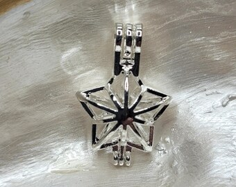 P2I Star Cage/Pendant
