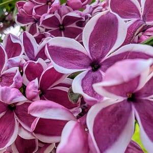 La vita può essere dura, fermarsi e ammirare la bellezza che ci circonda può cambiare il mondo attorno a noi e basta!