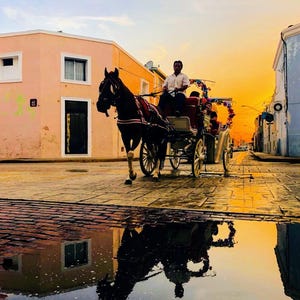 La vita può essere dura, fermarsi e ammirare la bellezza che ci circonda può cambiare il mondo attorno a noi e basta!