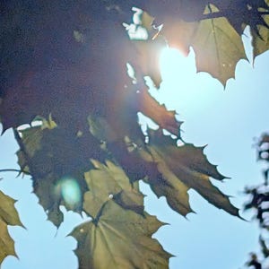 La vita può essere dura, fermarsi e ammirare la bellezza che ci circonda può cambiare il mondo attorno a noi e basta!