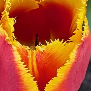 La vita può essere dura, fermarsi e ammirare la bellezza che ci circonda può cambiare il mondo attorno a noi e basta!