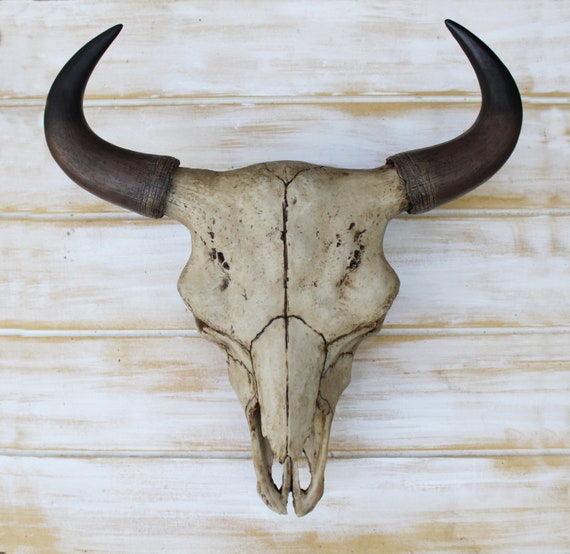 Bull Skullcow Skullbull Skull Wall Decorbuffalorustic Wall Etsy