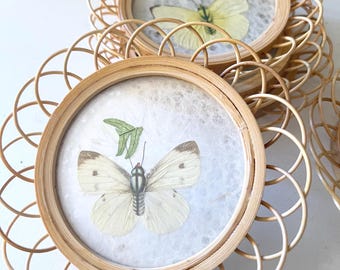Vintage Set of Five Butterfly and Rattan Coasters, Sunroom Decor, Alfresco Dining, Bamboo Pressed and Preserved Butterfly Lace Coasters