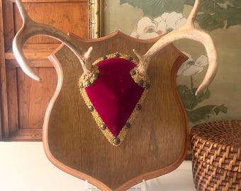 Vintage Mounted Antlers, Wall Gallery Decor, Six Point Antlers, Cabin Decor, Woodland Rustic, Antlers on Wood Shield Plaque