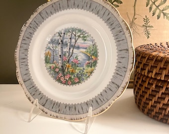 Vintage Royal Albert Silver Birch Salad or Dessert Plate, English Cottage Core