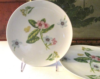 Two Georges Briard Botanica Plates, Garden Salad/Dessert Plates, Alfresco Dining, Palm Beach Decor, Cottage Chic, Wedding Floral Plates