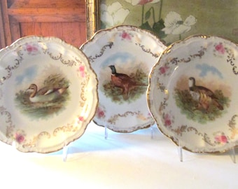 Set of Three Antique Game Bird Plates, PM Bavaria, Decorative Porcelain Wall Plates, Grandmillennial Wall Gallery, Cabinet Display Trio