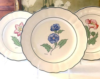 Three Vintage Grindley of Stoke England Floral Luncheon Plates, Hand Painted Tea Party China, Grandmillennial, Cottage, Wall Gallery Decor