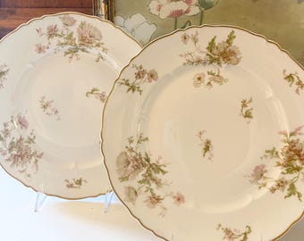 French Pair of Vintage "Poppy" Haviland France Dinner Plates, Romantic Dining, Theodore Haviland France,