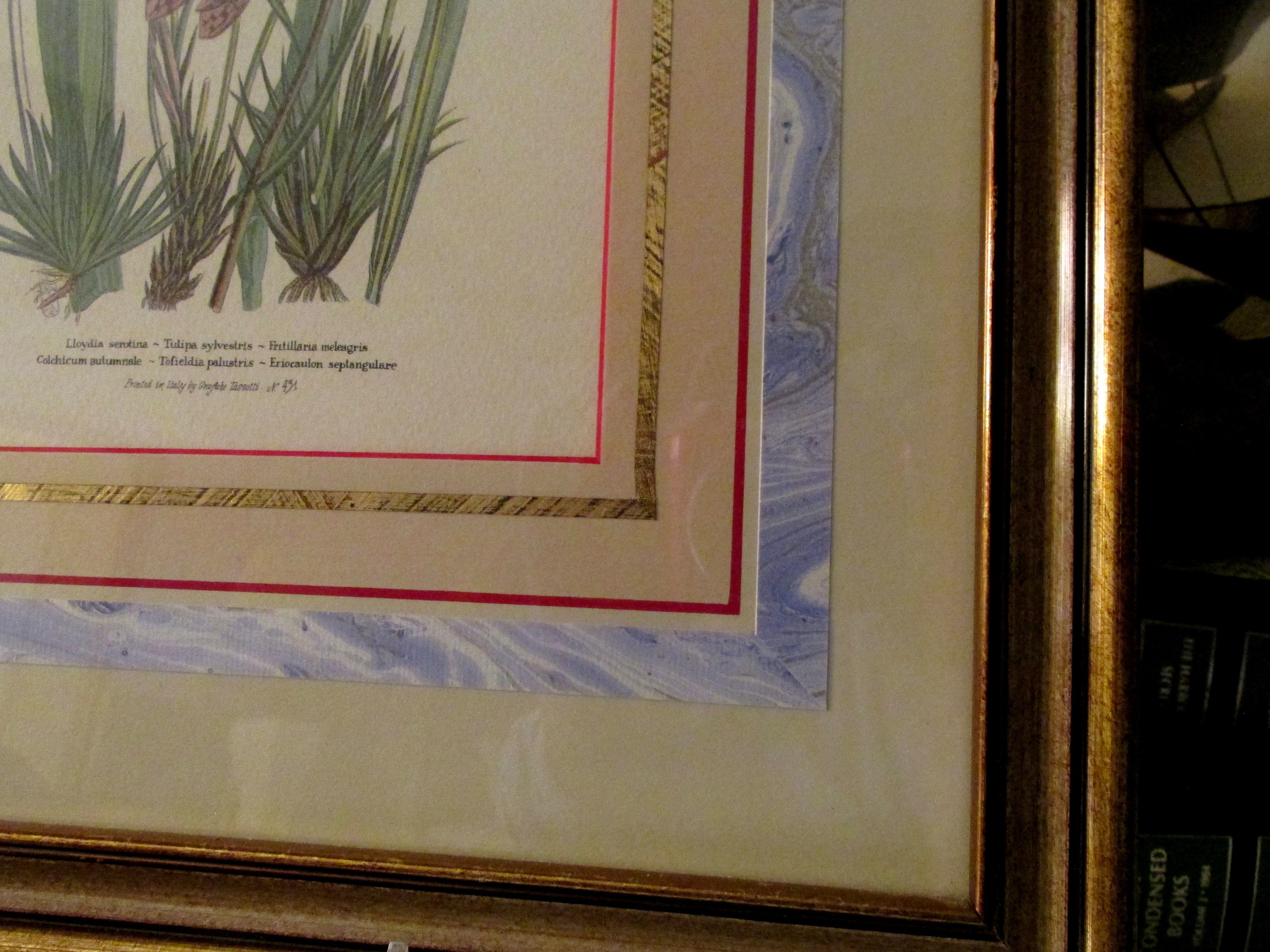 Vintage Pair of Ethan Allen Botanical Prints, Pair Framed Tulip and