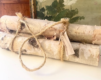 Three Birch Logs, Crate & Barrel, Decorative White Birch Logs Bundle with Jute Rope