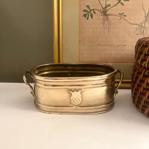 May include: An oval brass planter with two side handles and a small embossed pineapple motif on the front. The metallic container features a polished finish and a wide opening, designed with a flat base for stability on a level surface.