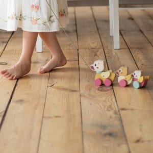 Giocattolo in legno da tirare a forma di anatra, regalo Montessori per bambini, fatto a mano