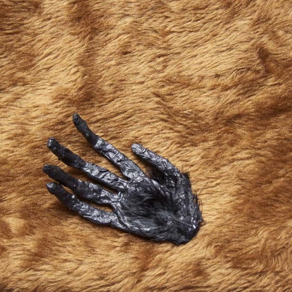 monkey's paw dime store toy horror taxidermy luck charm