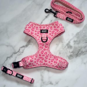 May include: A pink leopard print dog harness, lead, and collar set. The harness has a black metal D-ring and buckle. The lead has a black metal clip. The collar and harness have the text "OH MY WOOFNESS".