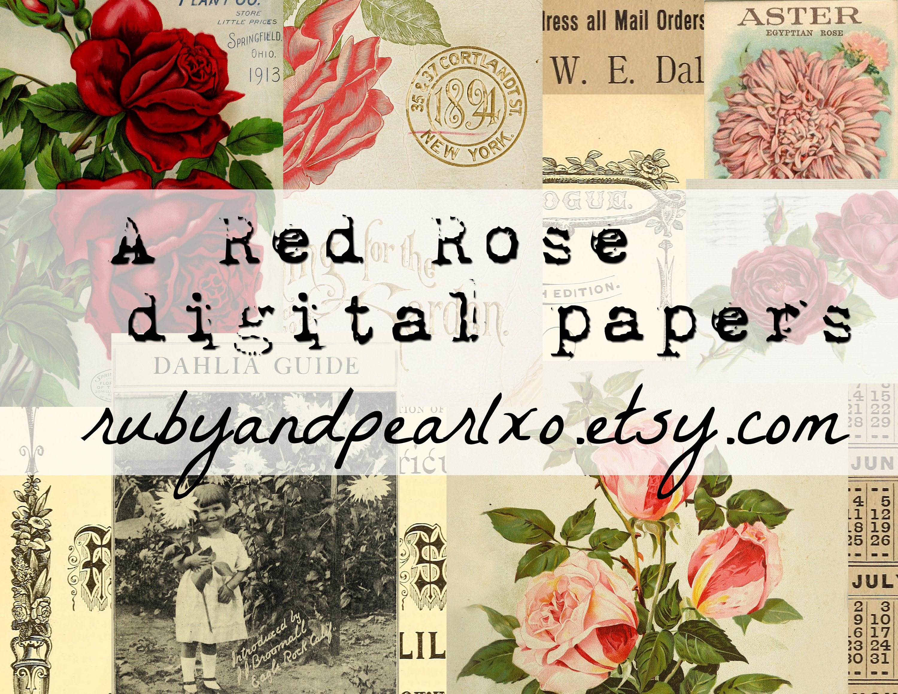 A Red Rose Collection Digital Download Antique Papers Etsy